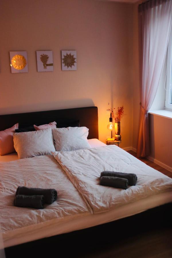 Apartment Im Herzen Der Stadt Braunschweig